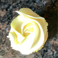 Mini lemon cupcake with vanilla buttercream frosting 