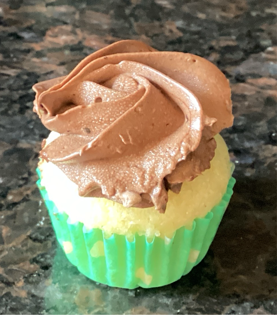 Mini vanilla cupcake with chocolate frosting 