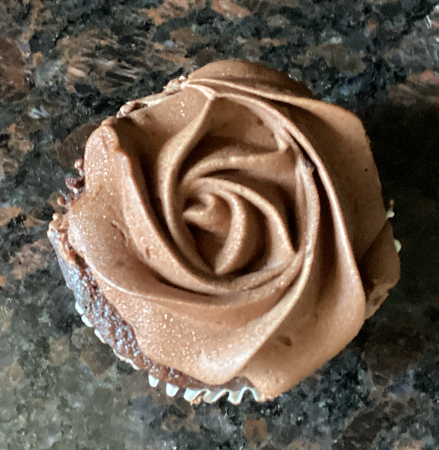 Chocolate cupcake with chocolate buttercream frosting 